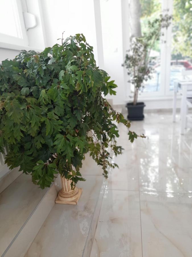 Orion Panzio Bed & Breakfast Hajduszoboszlo Luaran gambar